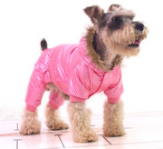 Одежда для собак осень-зима.
